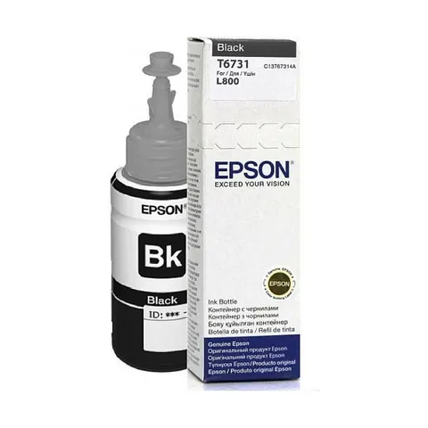 Epson T6731 Cartucho de tinta negro – imagen 1