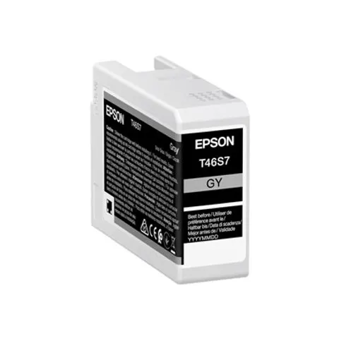 Epson T46S7 cartucho de tinta gris – imagen 1