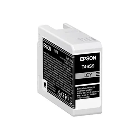 Epson T46S9 - Hellgrau - Druckerpatrone – Bild 1