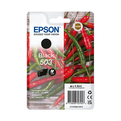 Epson 503 (C13T09Q14010) - Schwarz - Druckerpatrone – Bild 1