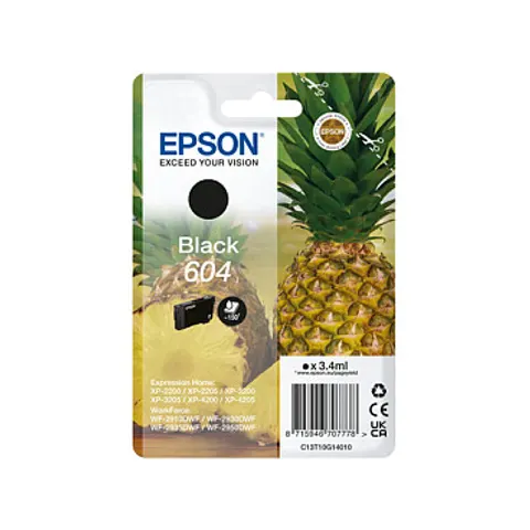 Epson 604 Pineapple Ink Cartridge - Black – image 1