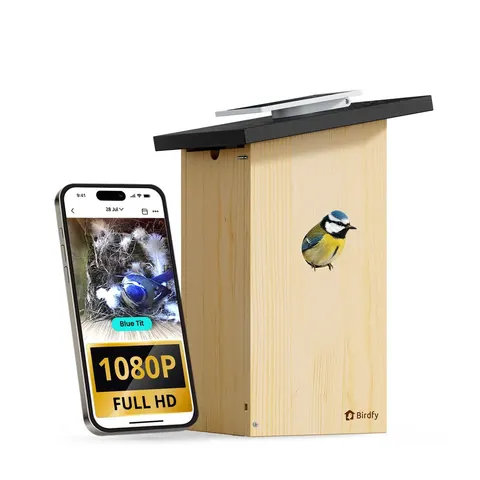 Birdfy Ebony Lite Smart Bird House – image 1