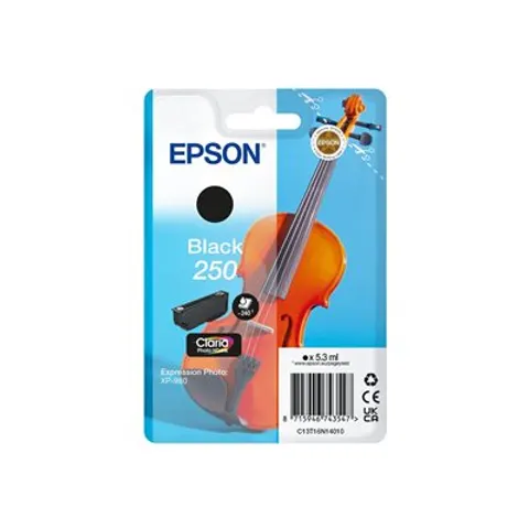 EPSON Singlepack Black 250 ink – Bild 1