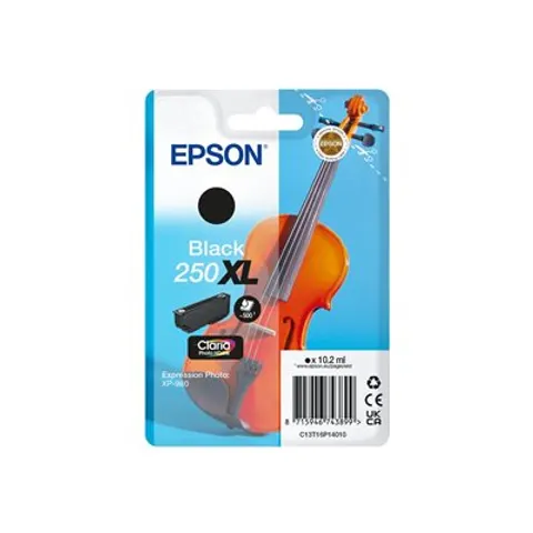 EPSON Singlepack Black 250XL ink – 743899 – Bild 1
