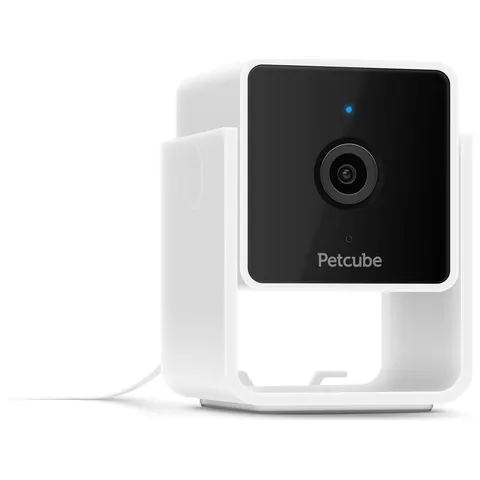 Petcube PET CAM – Bild 1