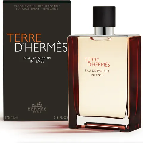 Hermès - Terre D'hermès - Eau De Parfum Intense - 175ml – image 1