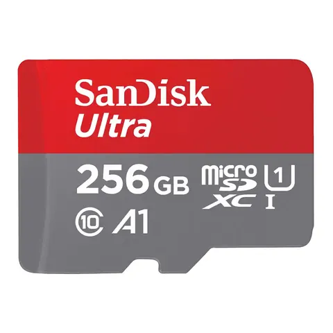 SanDisk MicroSD 3101030 – immagine 1