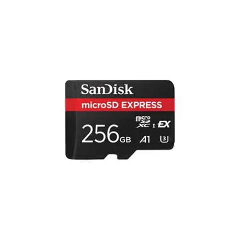 SanDisk SCHEDA DI MEMORIA Express 256GB – immagine 1