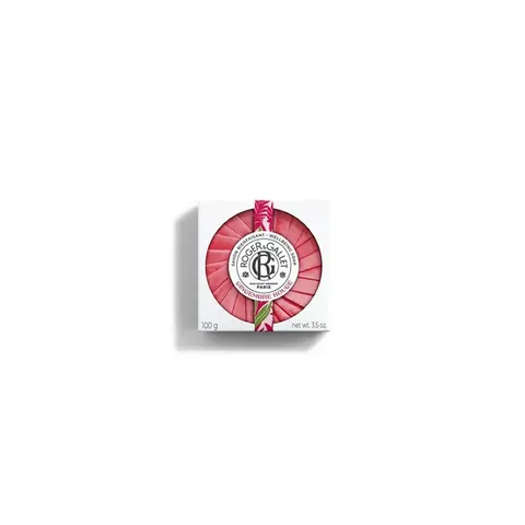 Blok Zeep Gingembre Roger & Gallet (100 g) – afbeelding 1