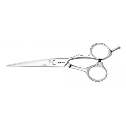 Jaguar Silver Line Xena Knipschaar – 126952 – afbeelding 1
