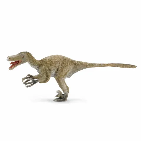CollectA Velociraptor Dinosaur Toy – image 1
