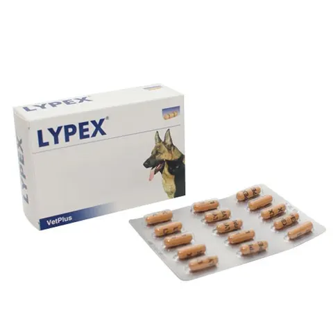 vetplus ltd Lypex 60 Capsule – immagine 1