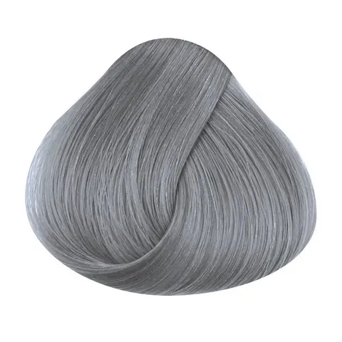 Directions silver 100 ml – Bild 1