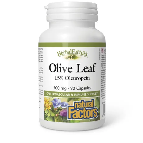 Natural Factors, Olive Leaf, 500 mg, 90 Capsules – image 1