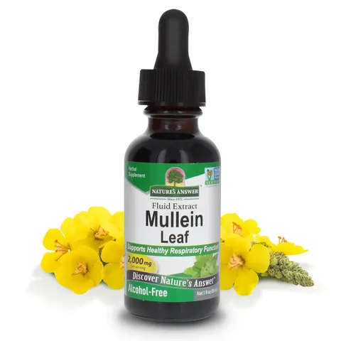 Nature's Answer Mullein Leaf 30ml 1374 – image 1