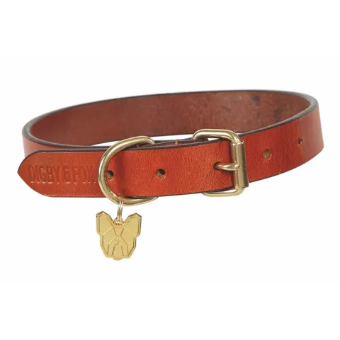 Shires Digby & Fox Flat Leather Dog Collar - Tan / XL – image 1