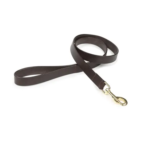 Shires Digby & Fox Flat Leather Dog Lead - Brown / M – image 1