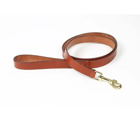 Shires Digby & Fox Flat Leather Dog Lead - Tan / S – image 1