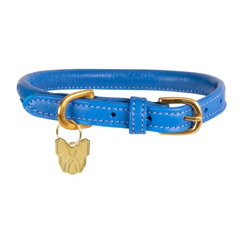 Shires Digby & Fox Rolled Leather Dog Collar - Royal / S – image 1