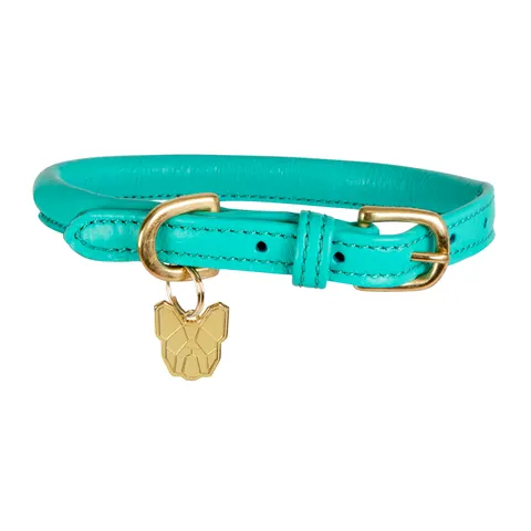Shires Digby & Fox Rolled Leather Dog Collar - Teal / S – image 1