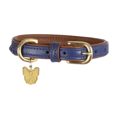 Shires Digby & Fox Padded Leather Dog Collar - Navy / M – image 1
