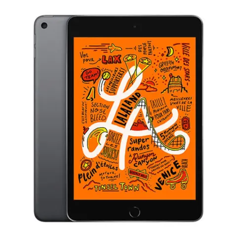 iPad Mini 5 (2019) 256GB WiFi & Cellular - Space Grey / Fair – image 1