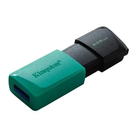 KINGSTON 256GB DataTraveler Exodia M – Bild 1