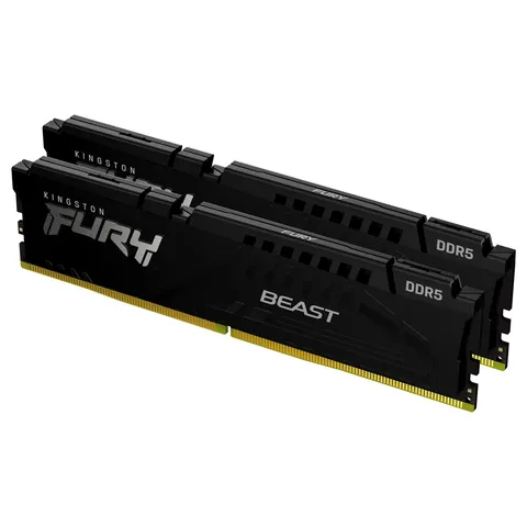 Kingston Technology FURY Beast memory module – 350173 – Bild 1