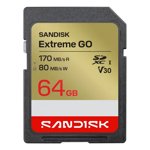 SanDisk Extreme GO – SDSDXGN064GGNCIN – Bild 1