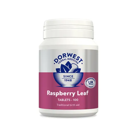 Dorwest Raspberry Leaf Tablets For Dogs - 500 Tablets – image 1