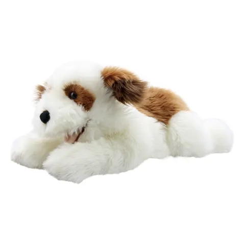 Brown & White - Playful Puppies – image 1