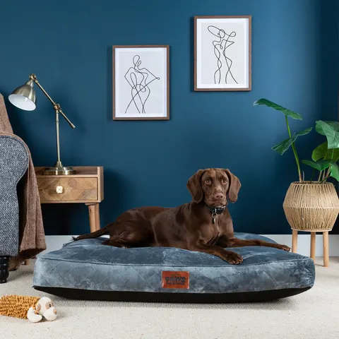 Paws for Slumber Grey Padded Pet Bed, Medium – image 1
