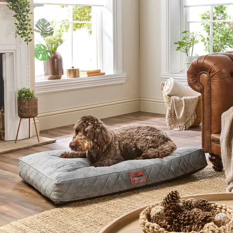 Paws for Slumber Padded Pet Bed, Large Grey L – image 1