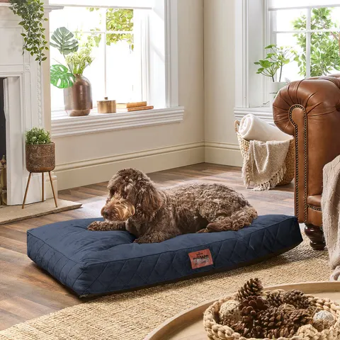 Paws for Slumber Padded Pet Bed, Large – image 1