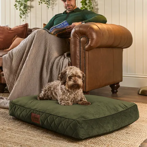 Paws for Slumber Padded Pet Bed, Medium Green M – image 1