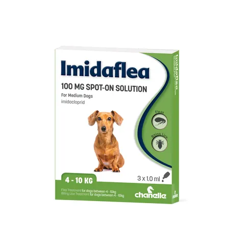 Imidaflea Medium Dog 100mg 1.0ml – image 1