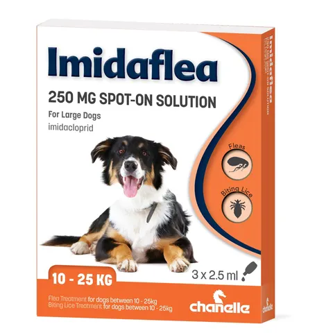Imidaflea Large Dog 250mg 2.5ml – image 1
