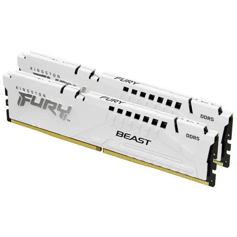 Kingston Technology FURY Beast memory module – KF556C36BWEK232 – Bild 1