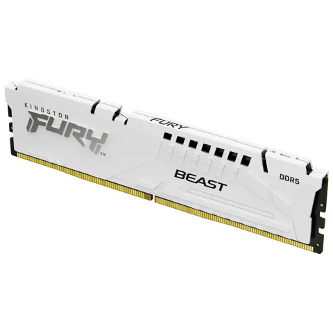 Kingston Technology FURY Beast memory module – KF560C36BWE216 – Bild 1