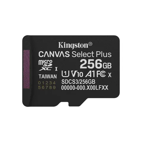 Kingston Canvas Select Plus - Flash-Speicherkarte - 256 GB – Bild 1