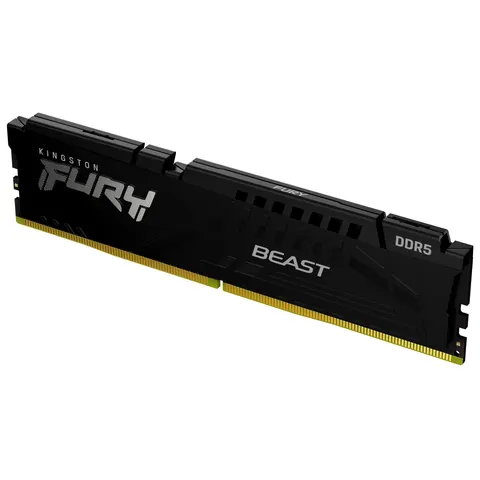 Kingston Technology FURY Beast memory module – KF556C36BBE64 – Bild 1