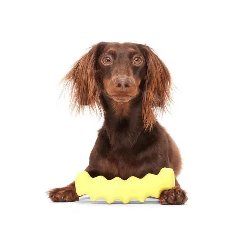 Bark Crinkle Fry Dog Toy – image 1
