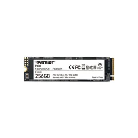 Patriot Memory P300 M.2 SSD - 256 GB – Bild 1