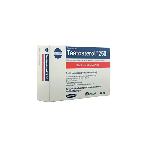 Megabol Testosterol 250 30 Kapseln – Bild 1