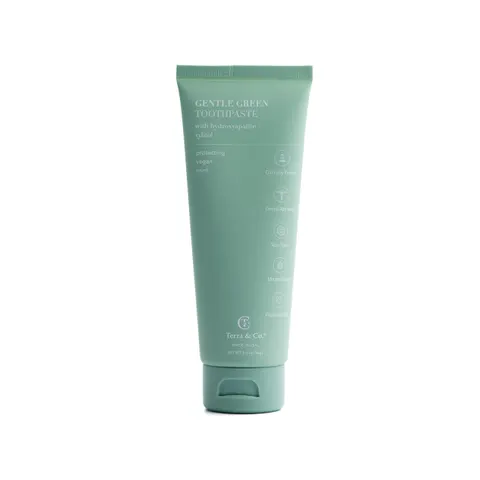 Terra & Co. Gentle Green Micro-Hydroxyapatite Toothpaste for Sensitive Teeth – USA-Made, Vitamin B12, Fluoride-Free, Vegan, SLS-Free – Mint, 3.4 oz – image 1