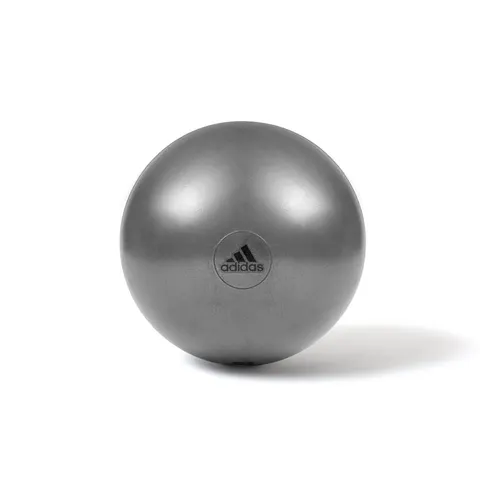 Adidas 55cm Gym Ball – image 1