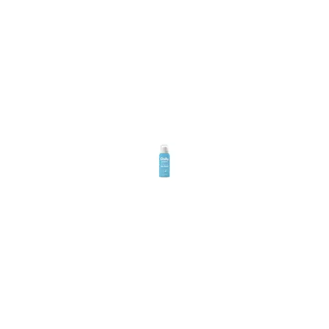 Chilly Protect espuma sin aclarado spray 100 ml – image 1