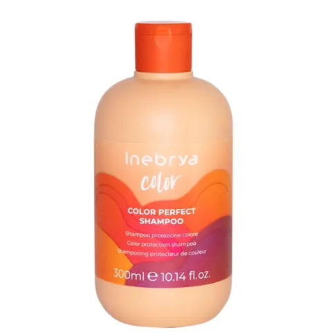 300ml Inebrya Color Perfect Shampoo – Bild 1