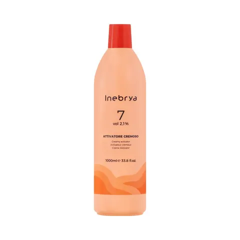 1L Inebrya Activator – 161998 – Bild 1