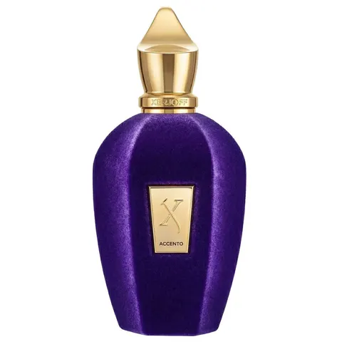 Xerjoff Accento Eau De Parfum 100ml – image 1